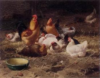 unknow artist Cocks 180 oil painting image